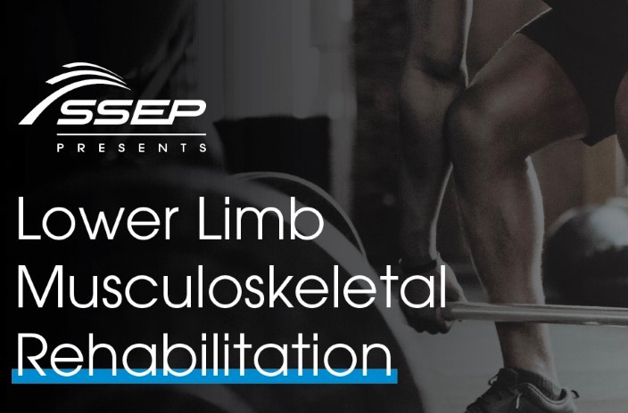 Lower Limb Musculoskeletal Rehabilitation
